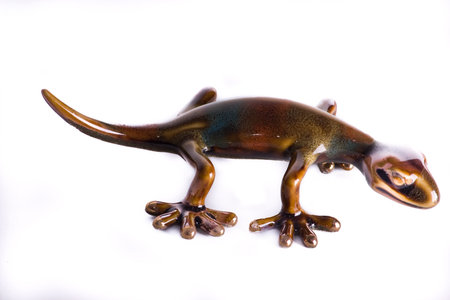 colourful toy iguana isolated ona white backgroundの写真素材