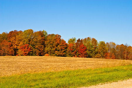 Beautiful cloudless fall day with vibrant colorsの写真素材