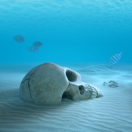 Skull on sandy ocean bottom with small fish cleaning some bones ( 3d render with slight differential focus)の写真素材