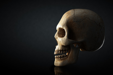 Human skull still life with side view on dark background - 3D artworkの写真素材