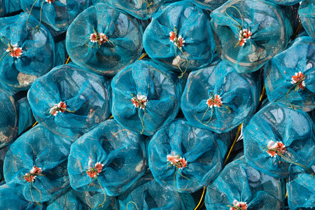 Prawn traps stacked on a small fishing boat as used in the wetlands of Phatalung for catching prawns in southern Thailand.の写真素材