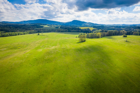 Meadow in South Bohemiaの写真素材