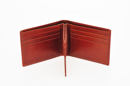 Brown Men Wallet 