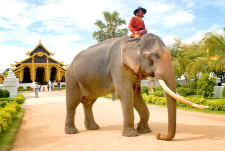 Kanchanaburi, Thailand - NOVEMBER 5, 2010 Thailand traditional pattern of elephants used in battle to fight against the Burmese in the reign of King Naresuan in Kanchanaburiのeditorial素材