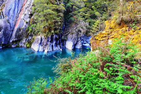 The Blue Pools of Haast Pass in New Zealandの写真素材