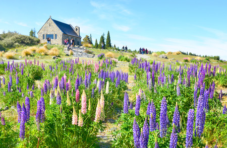 The church of the good shepherd, lake tekapo, new zealand south islandの写真素材
