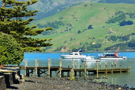 AKAROA, NEW ZEALAND -NOV24: Akaroa on Nov 24, 2014 in Akaroa, NZ. Akaroa is a historic French and British settlement nestled in the heart of an ancient volcano on Banks Peninsula, NZ.のeditorial素材