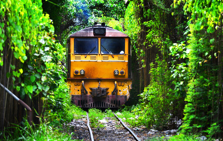 Train running on Natural Train tree tunnel in Thailand Bangkokの写真素材