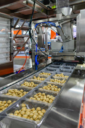 Many meatballs food production line on conveyor belt equipment machinery in factory, industrial food productionの写真素材