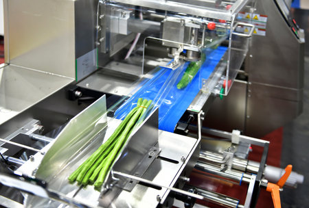 Packaging machine Agricultural vegetables Horizontal speed wrapping in the factory