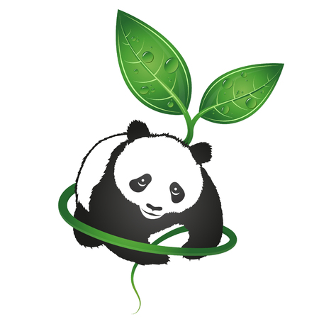 Panda eco symbol for a vector, nature conservationのイラスト素材