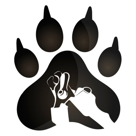 Plumber plumbing around. Plumbing repair and service. Water supply and heatingの写真素材