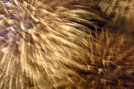 Firework exploding at slow shutter speed making an attractive pattern that could be used as a background.の写真素材