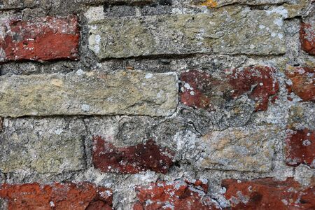 Old tudor brick wall in close up with narrow red and yellow bricks and mortar covered with algae and...