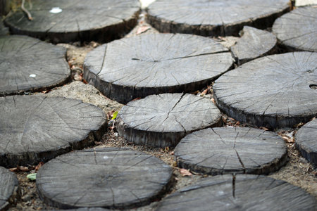 Cut log rings in close up used as a path surface with a background of bare soil and blurred log...