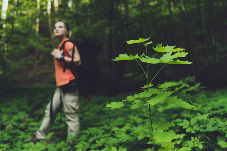girl with a backpack travels in the forestの写真素材