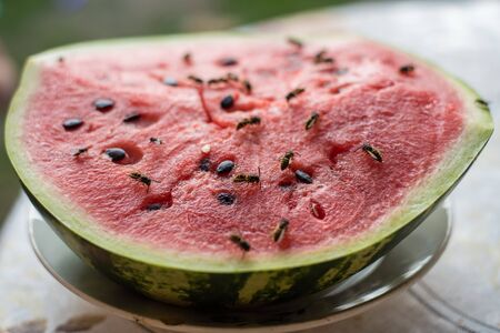 wasps sat on a fresh and juicy watermelon and began to eat itの写真素材