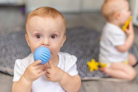 Cute happy babies play together on the floor with toys and take them in their mouthsの写真素材