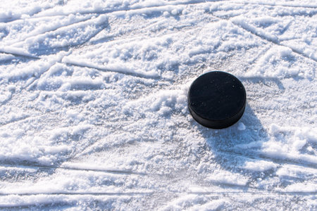 hockey puck lies on the snow macro