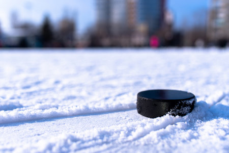 hockey puck lies on the snow macro