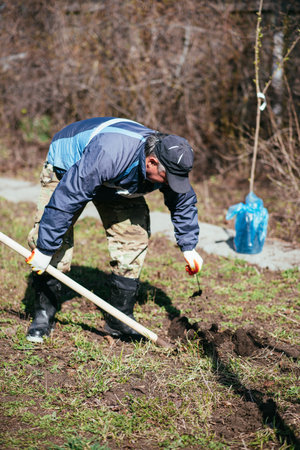 A man is planting a young tree in the garden. The farmer is digging the ground with a shovel for a small seedling. The concept of protection of the environment and ecologyの写真素材