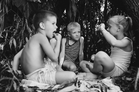 Three children play in a hut which they themselves have built from leaves and twigs. black and white photographyの写真素材