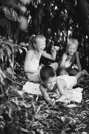Three children play in a hut which they themselves have built from leaves and twigs. black and white photographyの写真素材