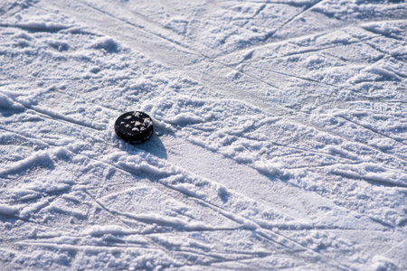 hockey puck lies on the snow macro