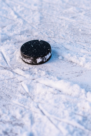 hockey puck lies on the snow macro