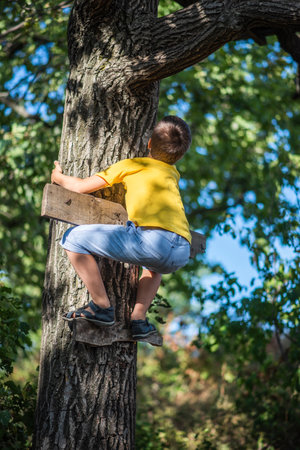 A boy climbs a tree in a city park during the dayの写真素材