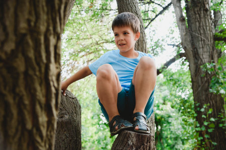 A boy climbs a tree in a city park during the dayの写真素材