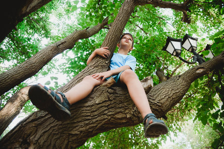 A child climbs a tree in the forest in summerの写真素材
