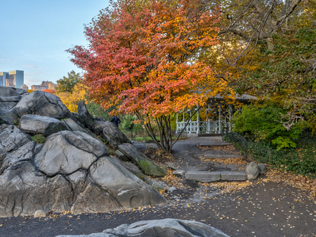 Central Park, at the lakeの写真素材