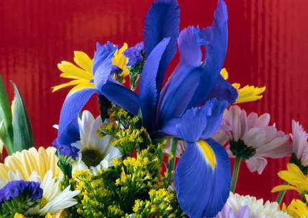 Close up of flower arrangement in studio settingの写真素材