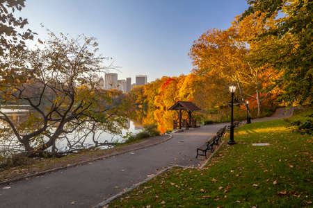 Central Park, New York City in autumn early at sunriseの写真素材