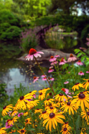 Gapstow Bridge in Central Park  early morning on a summer dayの写真素材
