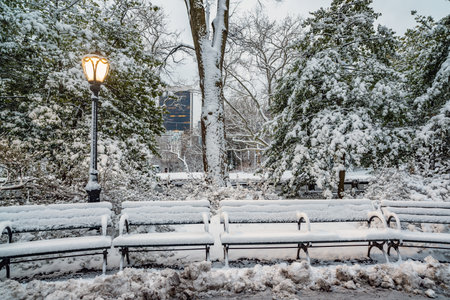 Central Park in winter  after snow storm in the early morningの写真素材