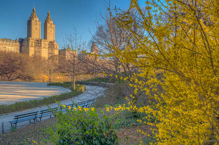 Spring in Central Park, New York Cityの写真素材