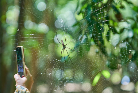 A woman is taking a photo of a spider in her smartphone.