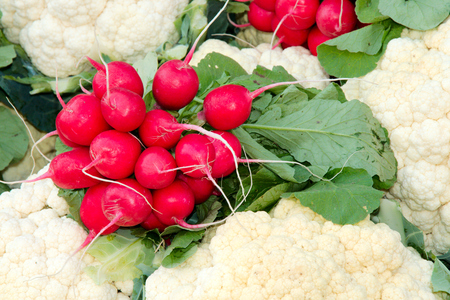 Radishes and cauliflowerの写真素材