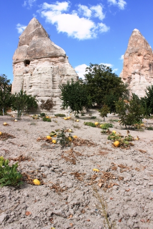 Garden in Cappadociaの写真素材