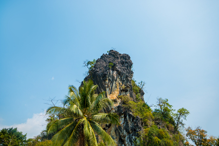 Tropical islandの写真素材