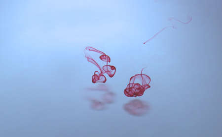 Waterの写真素材