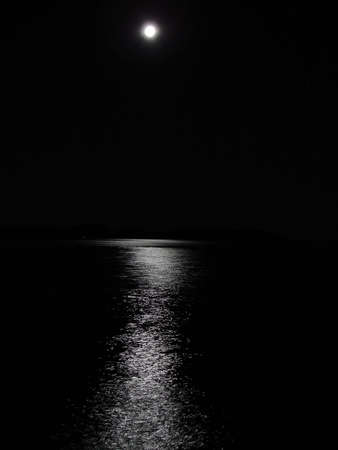  moon                              の写真素材