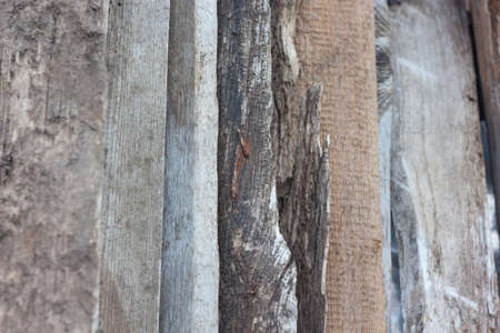Old wooden board with a nail