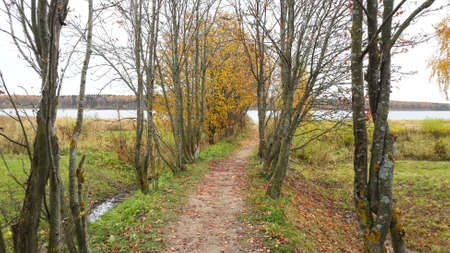 Path to the river, autumn, russiaの写真素材