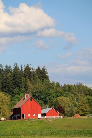 Red barns on a hill backed by trees, with clouds and blue sky above in Skagit Valley, Washingtonの写真素材