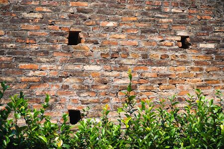 Ancient wall with missing bricks and green foliage in foregroundの写真素材