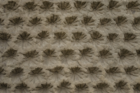 Relief pattern in sandstone
