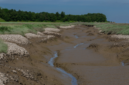 Cracked and dried mud of a river bank on a hout and sunny dayの写真素材